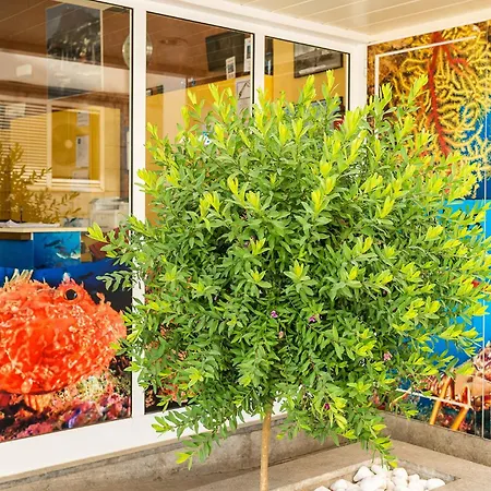 & Diving Les Illes L'Estartit